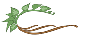 Seeds Digitial Marketing